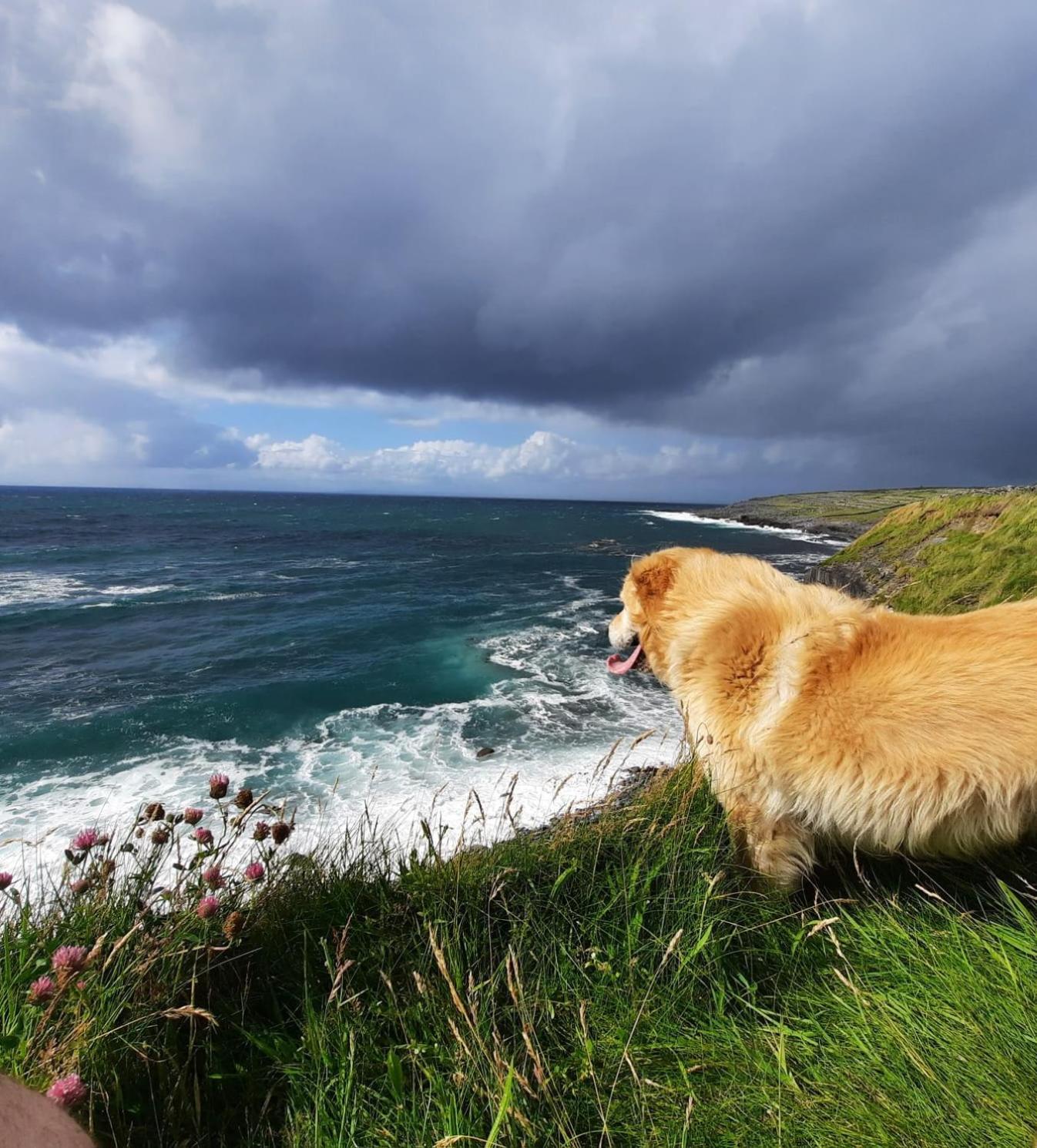 Rose Meadow Lodge Liscannor Bagian luar foto